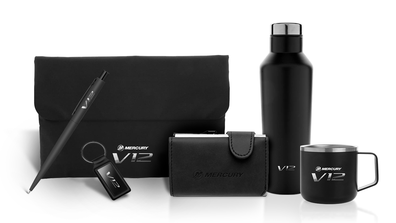 Cybergroup_Mercury_V12_1