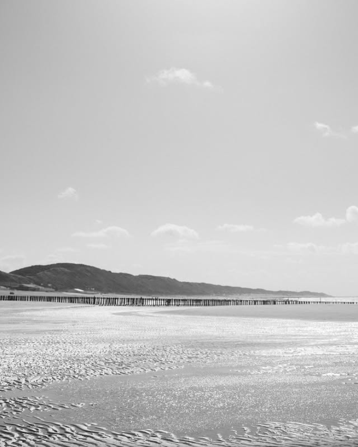 Cybergroup_Steven_Berkeley_5